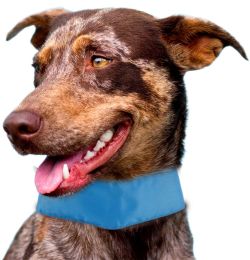 Pet Life Summer-Cooling' Insert Able And Adjustable Cooling Ice Pack Dog Neck Wrap - PTCL1BL