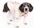 Double-Toned Jewel Pet Jacket - X-Small