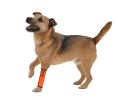 Extreme-Neoprene Joint Protective Reflective Pet Sleeves - Large