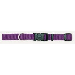 Coastal Adjustable Nylon Dog Collar with Plastic Buckle Purple 3-8 in x 8-12 in